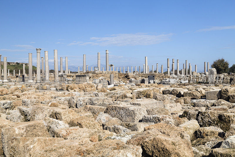 Perge, Antalya，火鸡